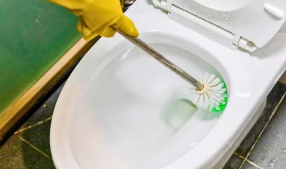 Picture of someone cleaning a toilet