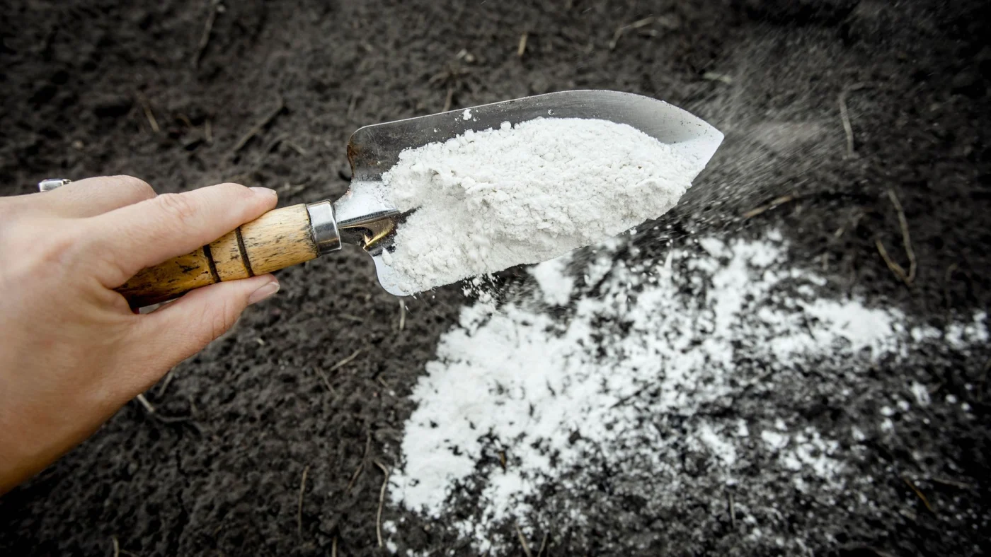 Sprinkling flour to soil