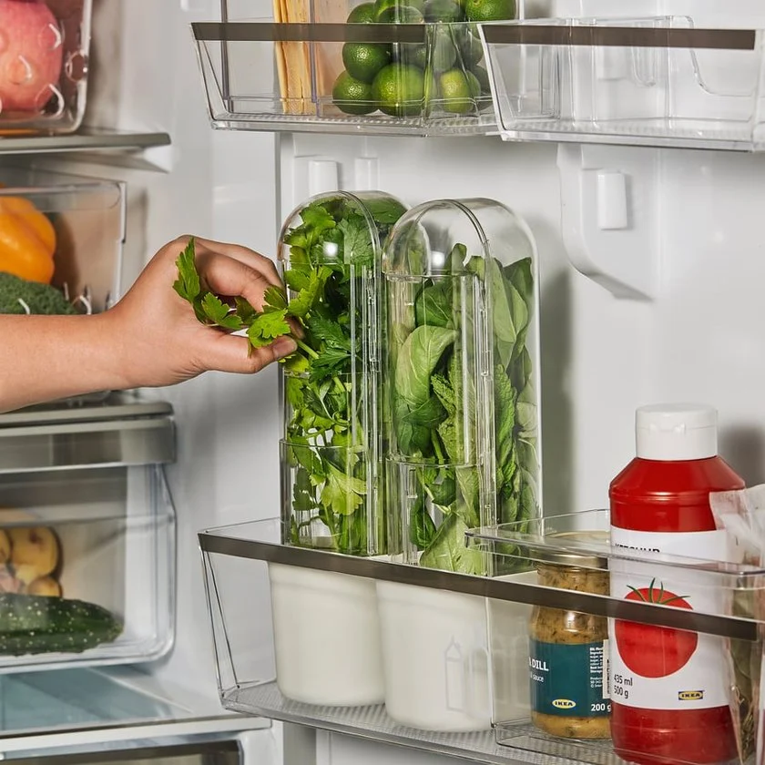 KLIPPKAKTUS von Ikea – Kräuteraufbewahrung für den Kühlschrank.