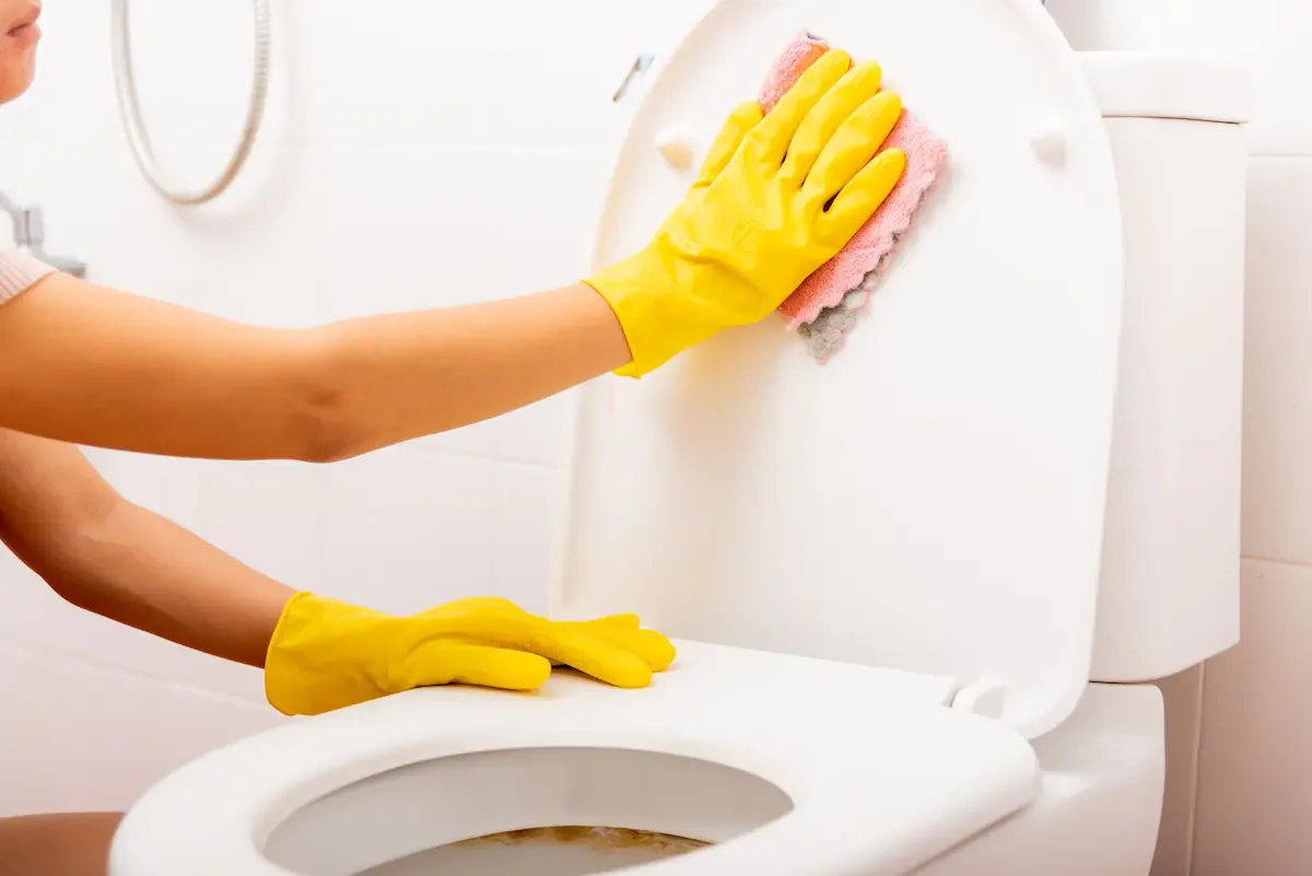La limpieza del inodoro puede hacerse sin necesidad de quÃmicos (Fuente: Shutterstock)