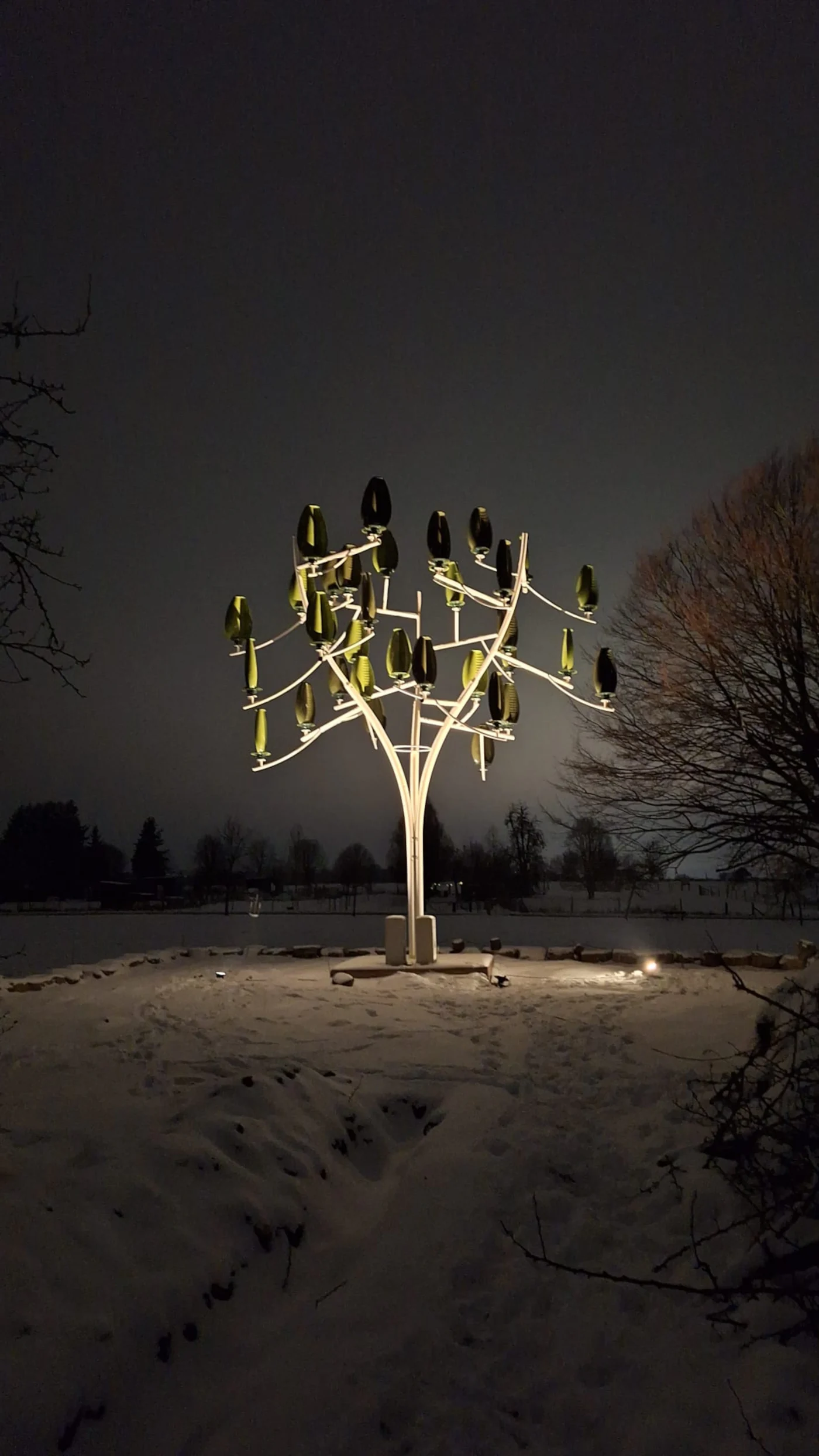 Sogar nachts drehen sich die grünen Turbinen bei Wind und erzeugen so Strom.