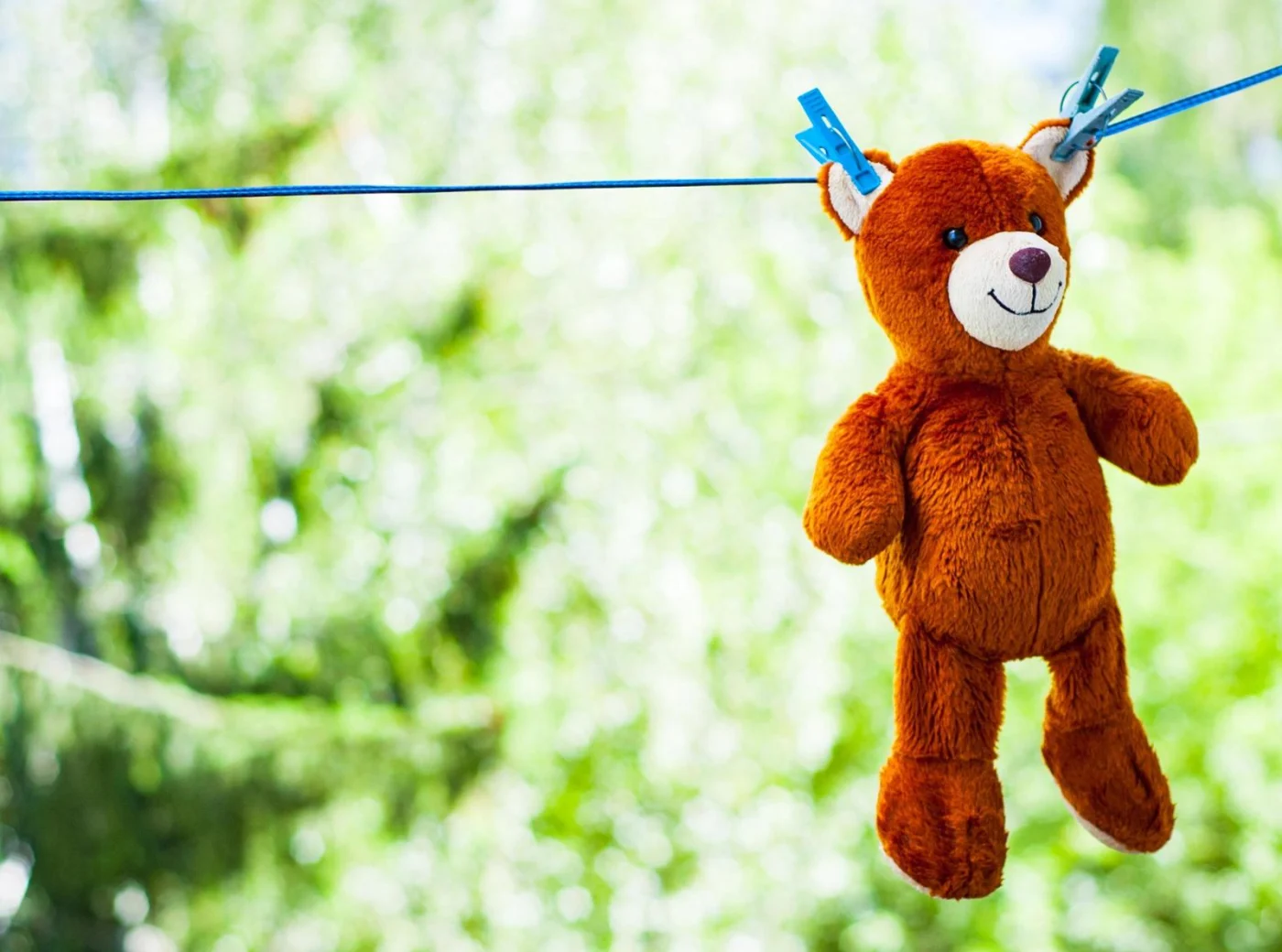 Teddy auf Wäscheleine
