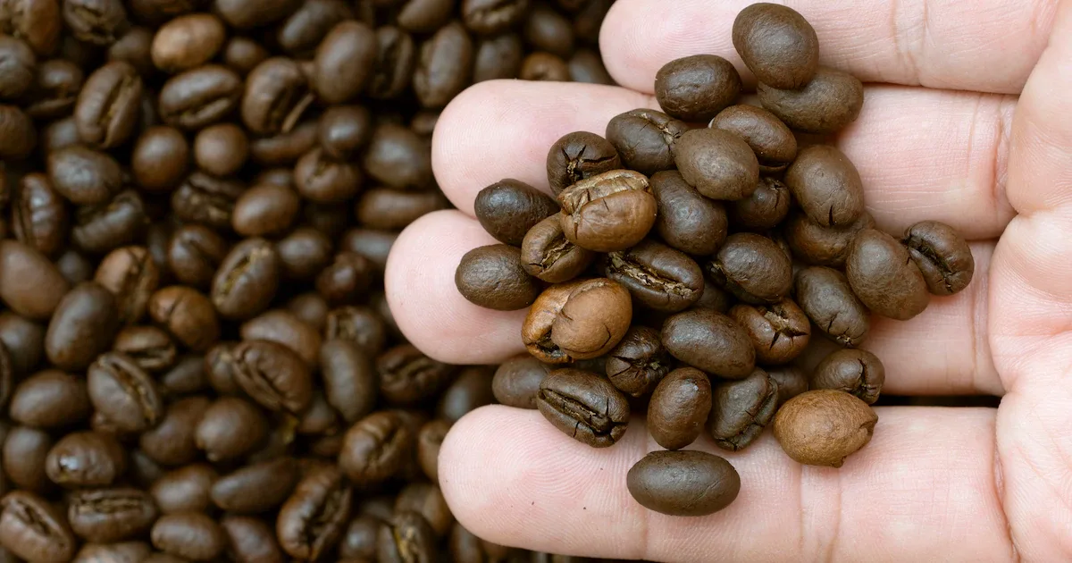 Warum „100 % Arabica“ auf Ihrer Kaffeepackung ein leeres Versprechen ist