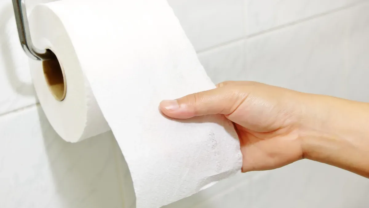 Warum Ihr Klopapier die Umwelt zerstört: Die Kosten für „weich und weiß“